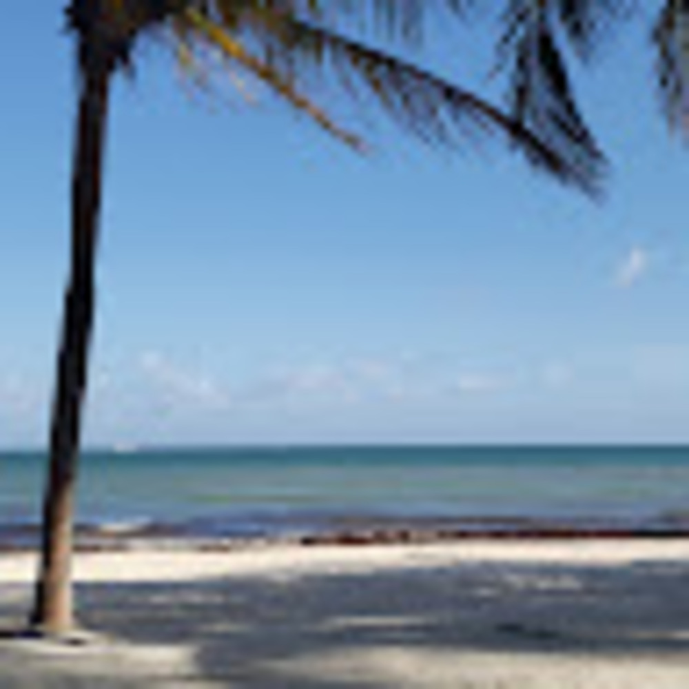 Meet your Posher, Bri